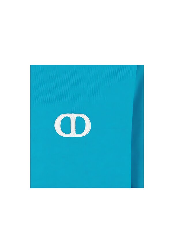 Dior CD ICON Logo Blau