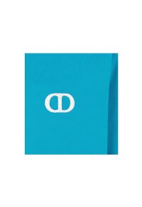 Dior CD ICON Logo Blau