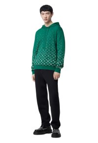 Louis Vuitton Monogram Pullover Grün