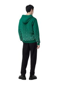 Louis Vuitton Monogram Pullover Grün