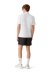 Casa Blanca Swim Shorts
