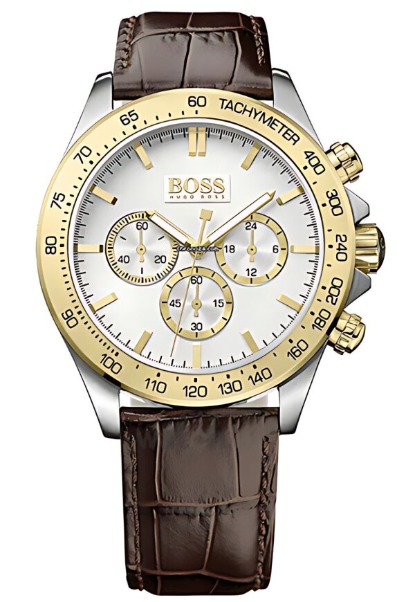 Hugo Boss HB1513174