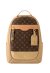 Louis Vuitton Outdoor Rucksack