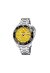 Festina Swiss Herren Automatikuhr F20043/1