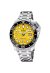 Festina Swiss Herren Automatikuhr F20043/1