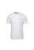 Ea7 Tshirt