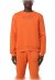 Cavalli Class Sweatshirt orange Herren