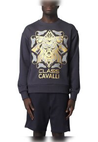 Cavalli Class Sweatshirt blau Herren
