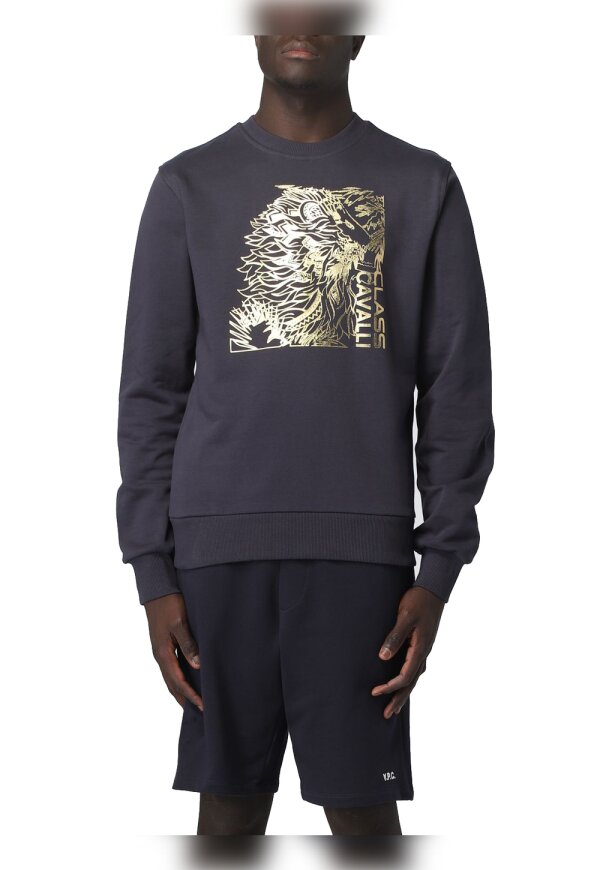Cavalli Class Sweatshirt blau Herren